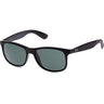 Ray-Ban RB4202 Mens Andy Sunglasses