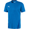 Puma - Mens Teamgoal 23 Jersey