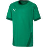 Puma - Kids Teamgoal 23 Jersey