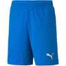 Puma - Kids Teamgoal 23 Knit Shorts