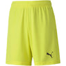 Puma - Kids Teamgoal 23 Knit Shorts