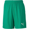 Puma - Kids Teamgoal 23 Knit Shorts