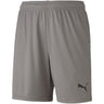 Puma - Kids Teamgoal 23 Knit Shorts