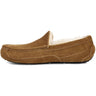 Ugg - Mens Ascot Slipper