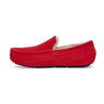 Ugg - Mens Ascot Slipper
