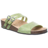Bearpaw - Womens Amoria Platform Shoes