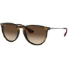 Ray-Ban RB4171F Womens Erika (F) Sunglasses