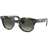 Ray-Ban - Unisex Orion Sunglasses