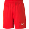 Puma - Kids Teamgoal 23 Knit Shorts