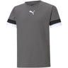 Puma - Juniors Teamrise Jersey