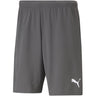 Puma - Mens Teamrise Short