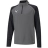 Puma - Juniors Teamliga 1/4 Zip Top