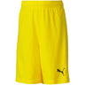 Puma - Kids Teamgoal 23 Knit Shorts