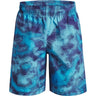 Under Armour - Boys Woven Printed Shorts