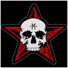 Generic - Unisex Alchemy Dead Man'S Rest Standard Patch
