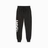 Puma - Mens Posterize 2.0 Pant