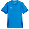 Puma - Juniors Teamgoal Matchday Jersey