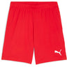 Puma - Mens Teamgoal Shorts