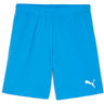 Puma - Mens Teamgoal Shorts