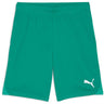 Puma - Mens Teamgoal Shorts