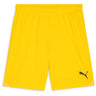 Puma - Mens Teamgoal Shorts