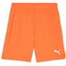 Puma - Mens Teamgoal Shorts