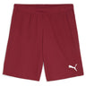 Puma - Mens Teamgoal Shorts