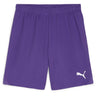 Puma - Mens Teamgoal Shorts