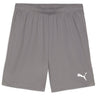 Puma - Mens Teamgoal Shorts
