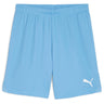 Puma - Mens Teamgoal Shorts