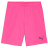 Puma - Mens Teamgoal Shorts