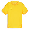 Puma - Juniors Teamfinal Jersey