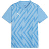 Puma - Juniors Teamglory Jersey