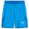 Puma - Mens Teamfinal Shorts
