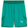 Puma - Mens Teamfinal Shorts