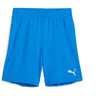 Puma - Juniors Teamgoal Shorts