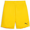 Puma - Juniors Teamgoal Shorts