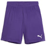 Puma - Juniors Teamgoal Shorts