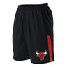 Alleson Athletic - Kids A205Ly Nba Logo'D Game Shorts