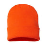 Cap America - Mens Tkn24 Usa-Made 12" Cuffed Beanie