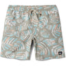 Quiksilver - Mens Everyday Mix Volley 17 Nb Shorts