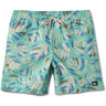 Quiksilver - Mens Everyday Mix Volley 17 Nb Shorts