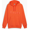 Puma - Mens Pl Ess Hoodie