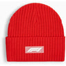 Puma - Unisex F1 Beanie