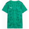 Puma - Womens Teamultimate Jersey