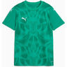 Puma - Juniors Teamultimate Jersey