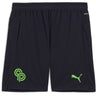 Puma - Mens Chasing The Dream Training Shorts