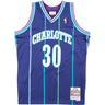 Mitchell And Ness - Charlotte Hornets Mens Nba Swingman Alternate 94 Dell Curry Jersey