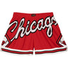 Mitchell And Ness - Womens Chicago Bulls Nba Big Face 3.0 Shorts