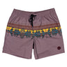 Hooey - Youth Volley Board Shorts With Multi Color Pattern
